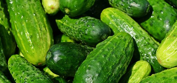 Огуречная монодиета Огуречная монодиета