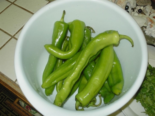 ������� �����, �������, �������, ��� ����