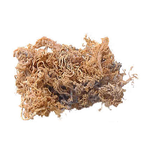 ���� �������