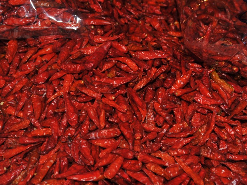 ����� ���� (������), �������