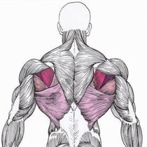 ��� �������� ������ (���������� ����� �����)