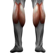 ��� �������� ���������� �����