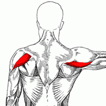 ��� �������� ������ ������