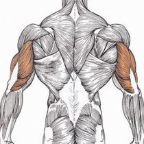 ��� �������� �������