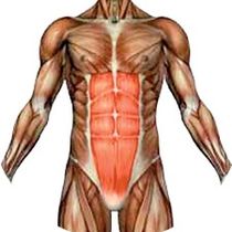 ��� �������� ������� �����