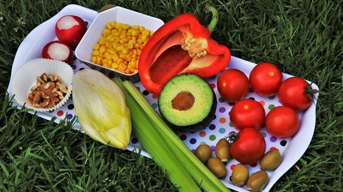 Мария Порошина и ее диета Мария Порошина и ее диета