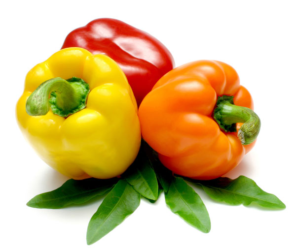 ����� �������