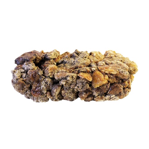 ������ ��������