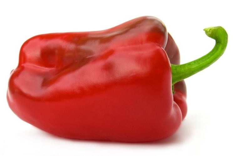 ����� ������� �������