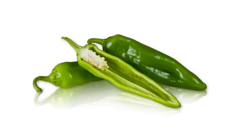 ����� ���� ������, �������, �����