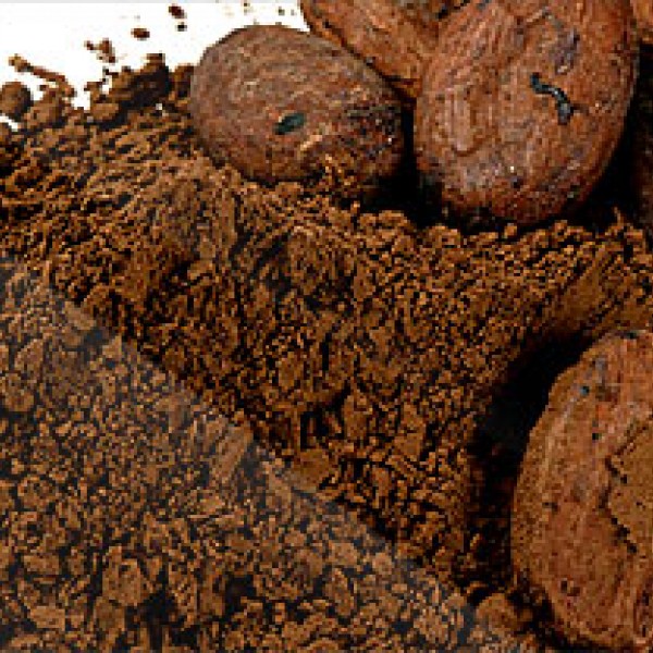 ����� ������