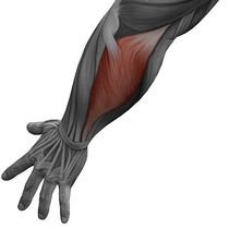 ��� �������� ����������